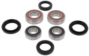 Honda TRX250X Wheel Bearing Kit - Front - Pivot Works - `01-`14